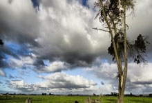 欧博:北京队豪取10连胜!曾凡博末节16分琼斯空砍50+10,双方险爆冲突.