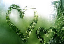 主场0-4惨败浙江队,马丁斯:我代表球队向球迷朋友们道歉.