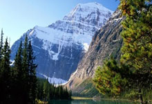 皮耶罗批尤文:球队完全输麻木了,比分落后还换上了三个后卫.