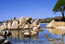 欧博:张玉宁:对阵沙特队,中国队准备好了.